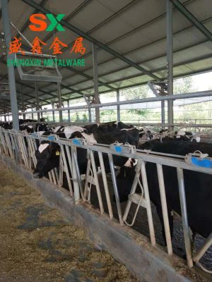 Stánok s hovädzím dobytkom na farme