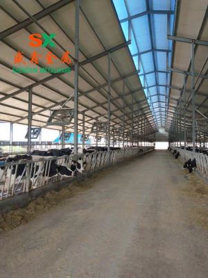 Farm Cow Free Stall