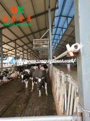 Farma dojníc voľné státie zariadenia